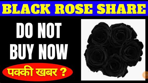 Black Rose Share Price